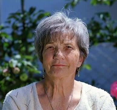 Sight-fresh-reviews-1